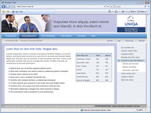 Homepage erstellen, Webagentur Graz