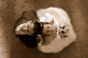 Hochzeitsfotografie, Hochzeitsfilm, DVD, Graz, Hochzeitseinladungen, Vermählungsanzeigen, besondere Erinnerungen, Hochzeitsalbum