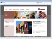 Content Management System, CMS, Webagentur Graz, Internetagentur Graz, Suchmaschinenoptimierung