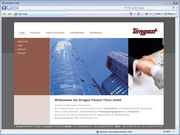 Content Management System, Webeagentur Graz, Internetagentur